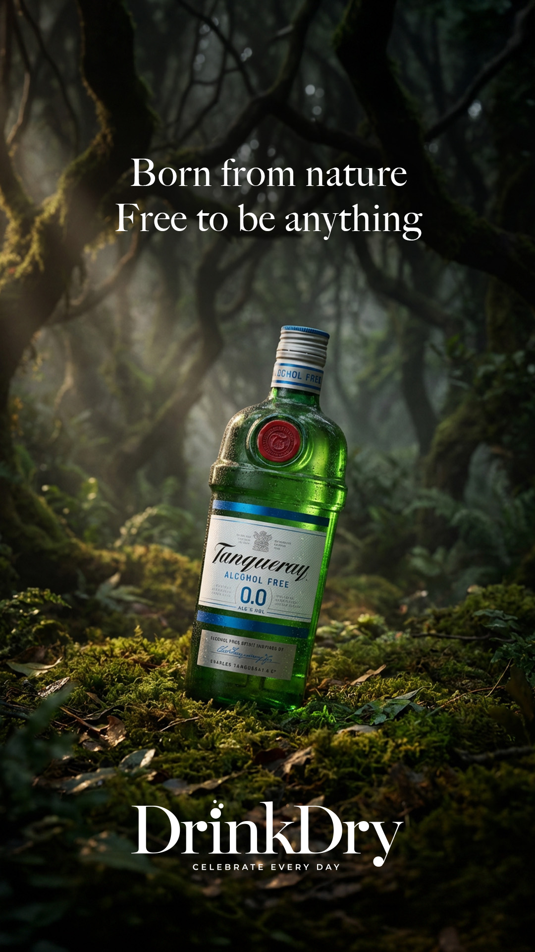 drink drive_4
